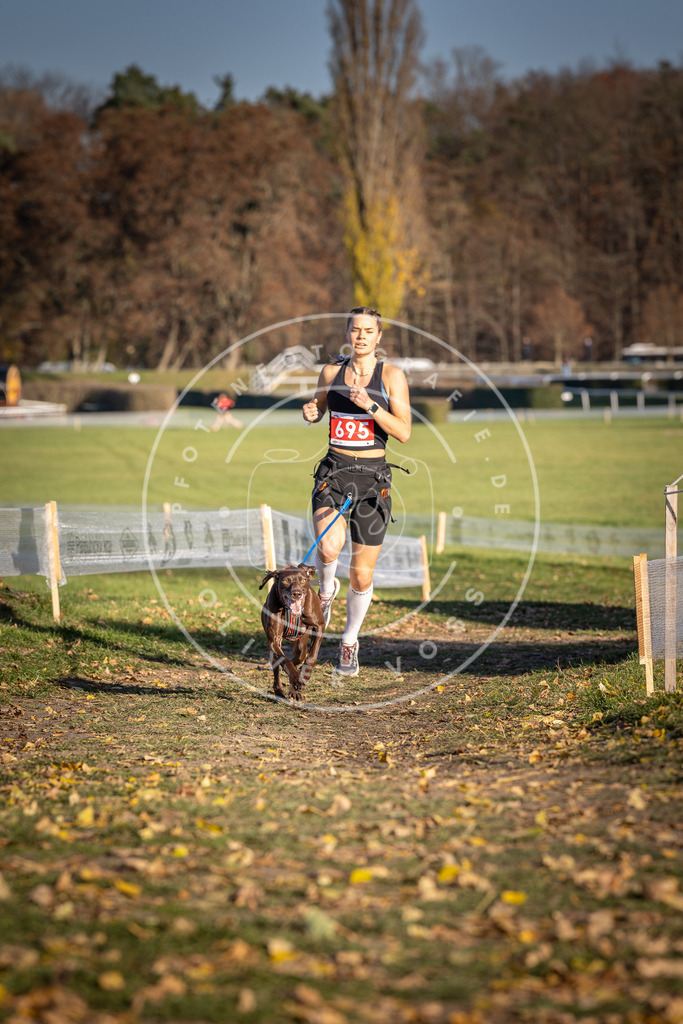 CaniXpix_DV3A1363 | Hundefotografie, Tierfotograf, Pfotenfotografie, Fotoshooting Hund, Hunde Portrait, Hundesport, Hundeportraits, Heideshooting, Hunde, Sportfotograf, Hundefotograf, Turnierhundsport, THS,  - Realisiert mit Pictrs.com