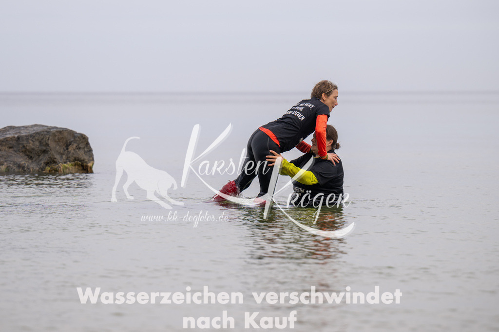1319_ZZ94559 | kk-dogfotos