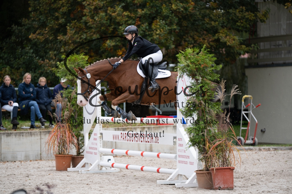 A7V09952 | Turnier/Reitfotograf