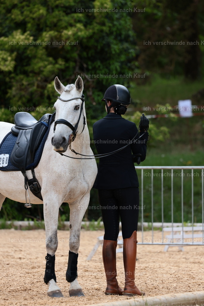 PI26_ST_StoibphotographyC2_L8905.JPG | working equitationturnier fotograf videograf stoibphotography marixx film working equitation deutschland reitsport turnierfotografie eventfotografie equestrian events