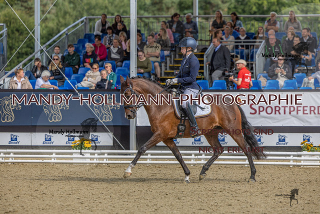 RPF 3j SW 4 (1068 von 1391) | mandyhollmannphotographie