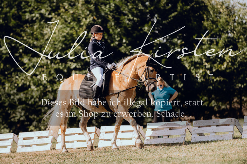 DSC_6958 | Pferde- und Turnierfotografie in Westsachsen. Pferdeportraits, Auftragszeichnungen und intuitive Kunst.