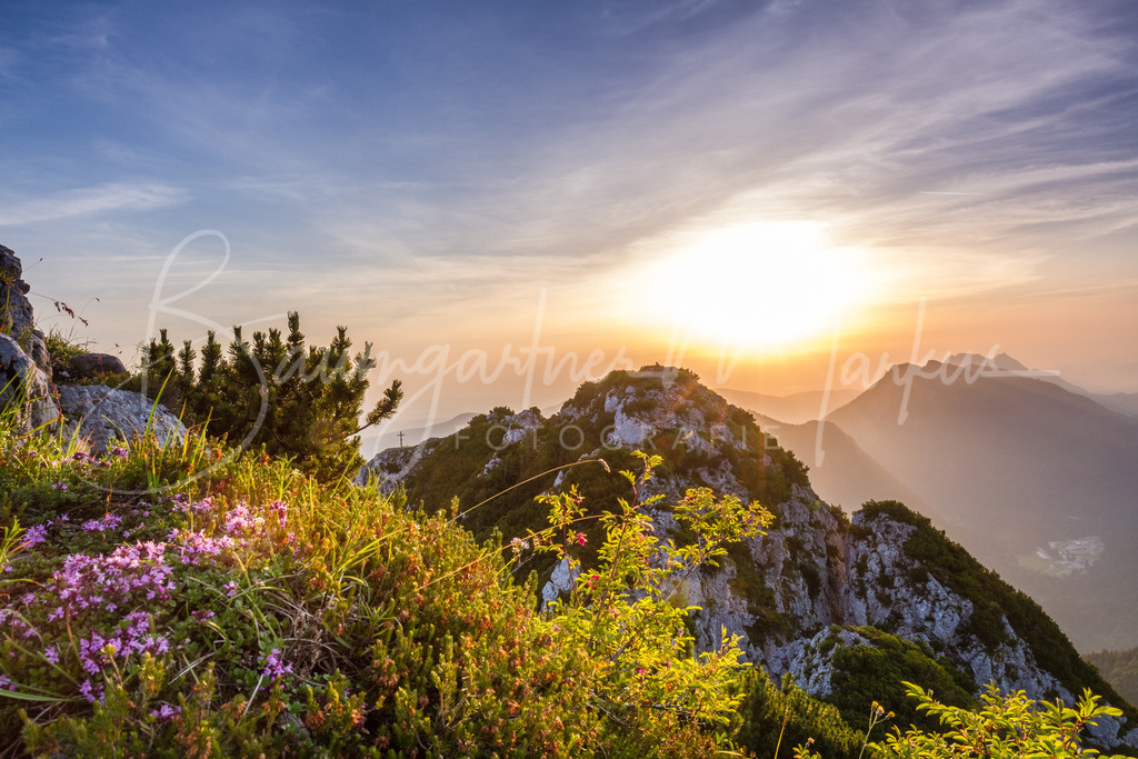 Biwag Hörndelwand_20150705_0552200202 | Baumgartner Markus Fotografie