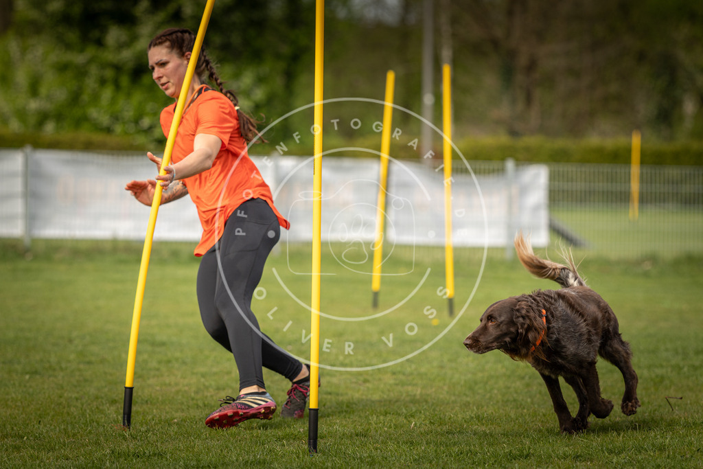 Pfotenfotografie_DV3A5474 | Hundefotografie, Tierfotograf, Pfotenfotografie, Fotoshooting Hund, Hunde Portrait, Hundesport, Hundeportraits, Heideshooting, Hunde, Sportfotograf, Hundefotograf, Turnierhundsport, THS,  - Realisiert mit Pictrs.com