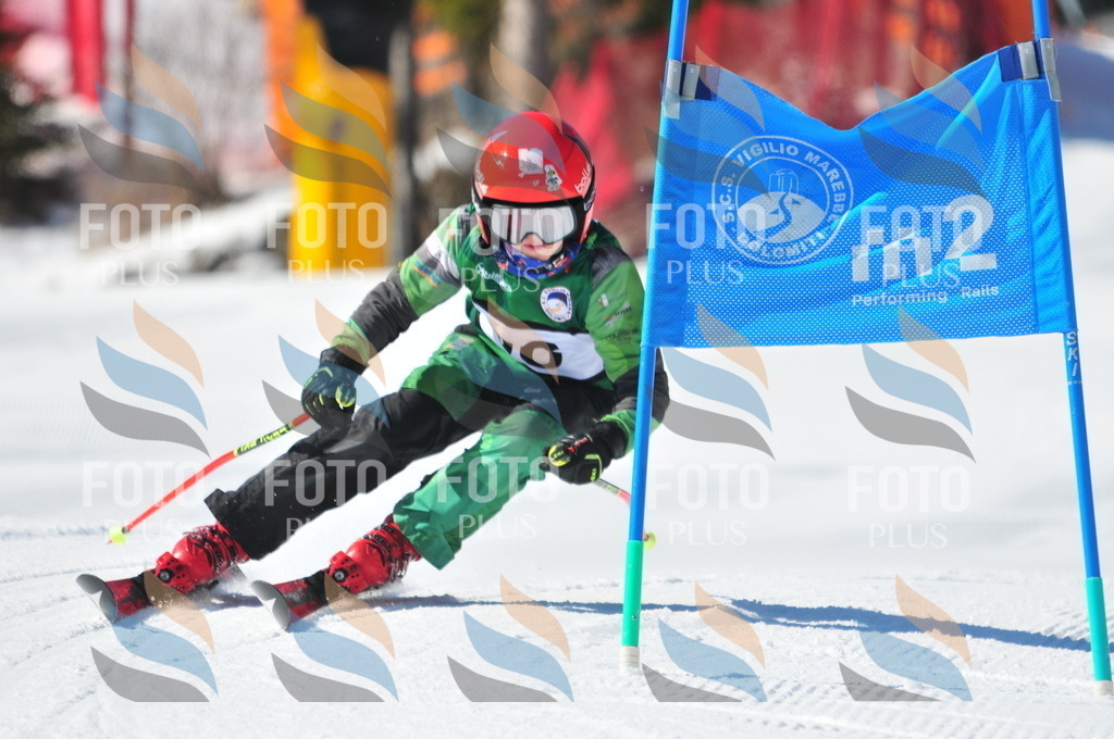 C3147 | holidayphoto