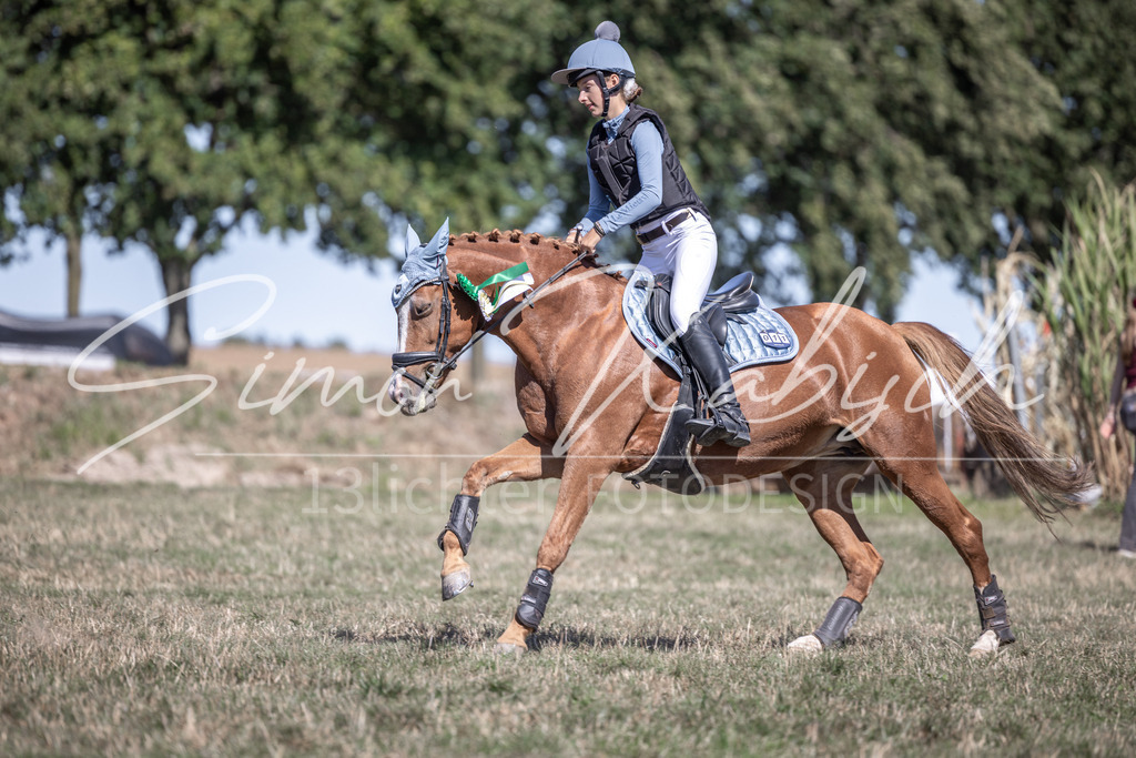 20260906-_3LI4847 | Tierfotografie Pferde, Hunde, Katzen, Haustiere.
Turnierfotografie Reitturniere, Reiten, Springreiten, Dressur in Hanau, dem Main-Kinzig-Kreis und dem Rhein-Main- Gebiet um Frankfurt