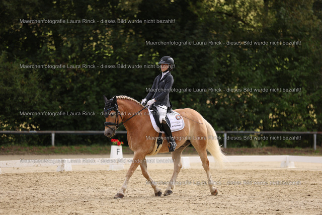 HG9A0439 | laurarinckfotografie - Realisiert mit Pictrs.com