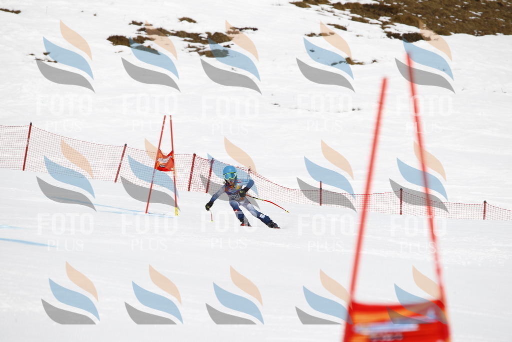 _U3G5980 | holidayphoto