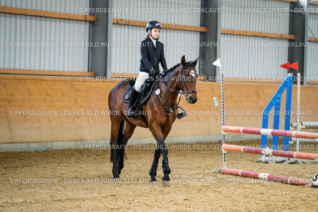 DSC00561 | Pferdegrafie