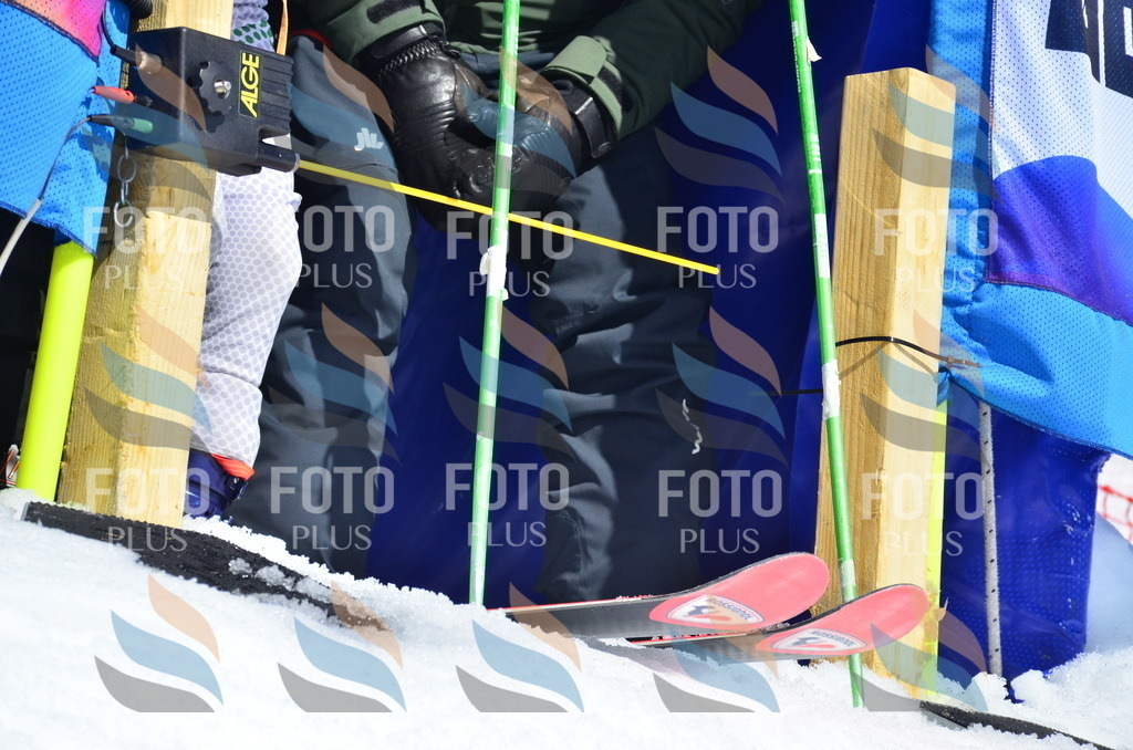 _ELE0838 | holidayphoto