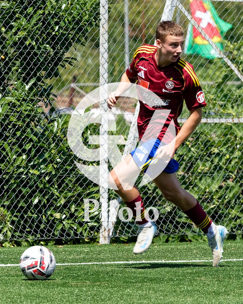 005_DZ8_1529 | Velletri Photo