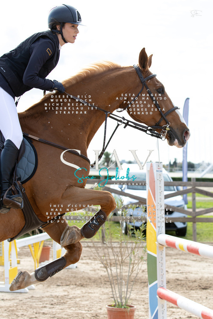 IMG_3184 | s-jay-photography - Realisiert mit Pictrs.com