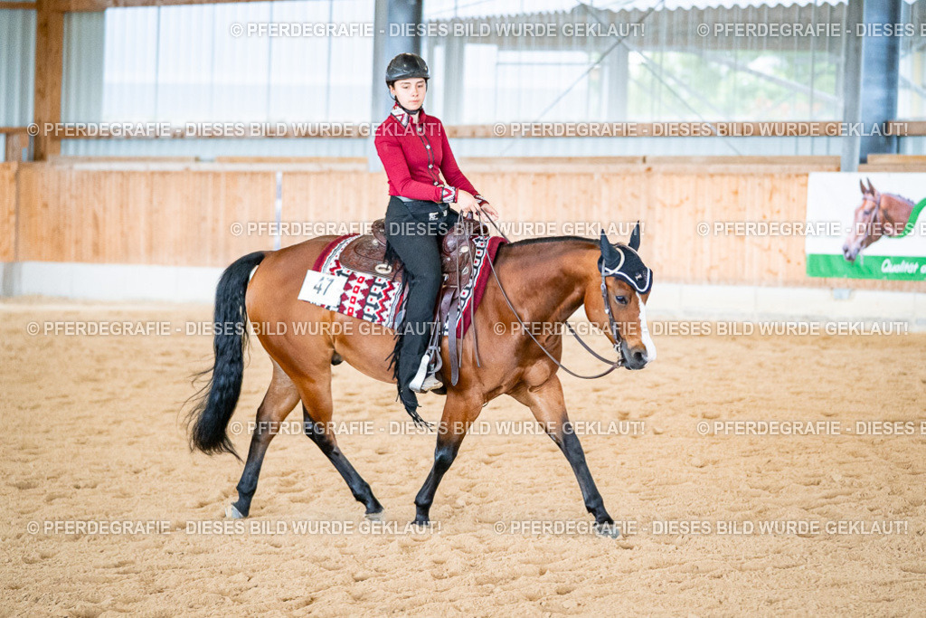 DSC02471 | Pferdegrafie