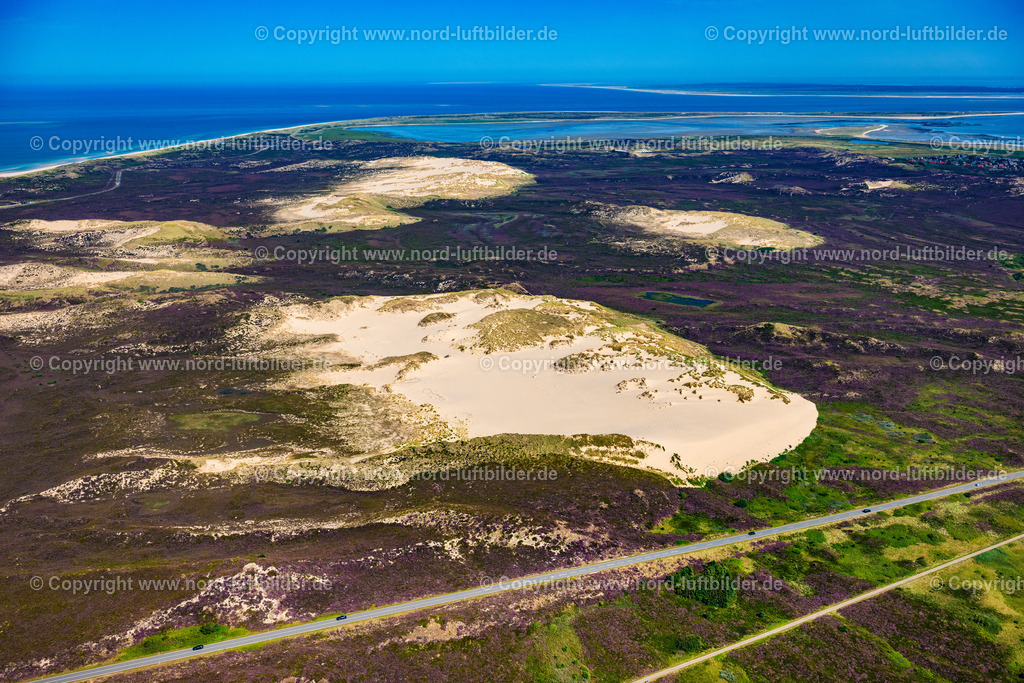 Sylt_List_Wanderdünen_Düne_Horst_ELS_9027130825 | LIST AUF SYLT 13.08.2025 Sandaufschüttungen einer Wanderdünenfläche in der Nordsee an der Listlandstraße in List auf Sylt im Bundesland Schleswig-Holstein, Deutschland. // Sand deposits of a shifting dune area in the North Sea on street Listlandstrasse in List auf Sylt in the state Schleswig-Holstein, Germany. Foto: Martin Elsen