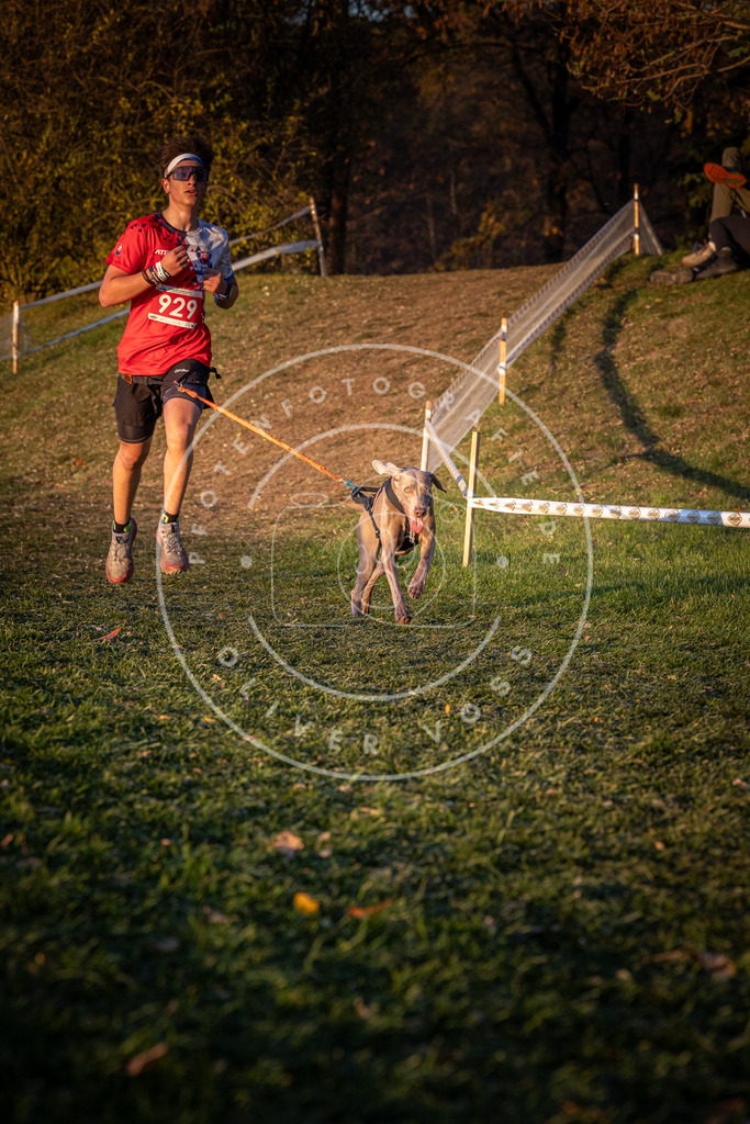 CaniXpix_0L8A1721 | Hundefotografie, Tierfotograf, Pfotenfotografie, Fotoshooting Hund, Hunde Portrait, Hundesport, Hundeportraits, Heideshooting, Hunde, Sportfotograf, Hundefotograf, Turnierhundsport, THS,  - Realisiert mit Pictrs.com