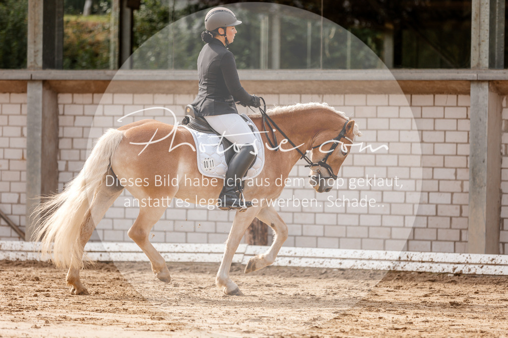 3I6A7039 | Stimmungsvolle Portraits und Reitsportfotografie im Ruhrgebiet und im Münsterland.

Pferdefotografie, Hundefotografie, Tierfotografie, Reportagen, Portraits von Tier und Mensch, Turnierfotografie in Bochum, Recklinghausen, Marl, Haltern am See, Dülmen.. - Realisiert mit Pictrs.com