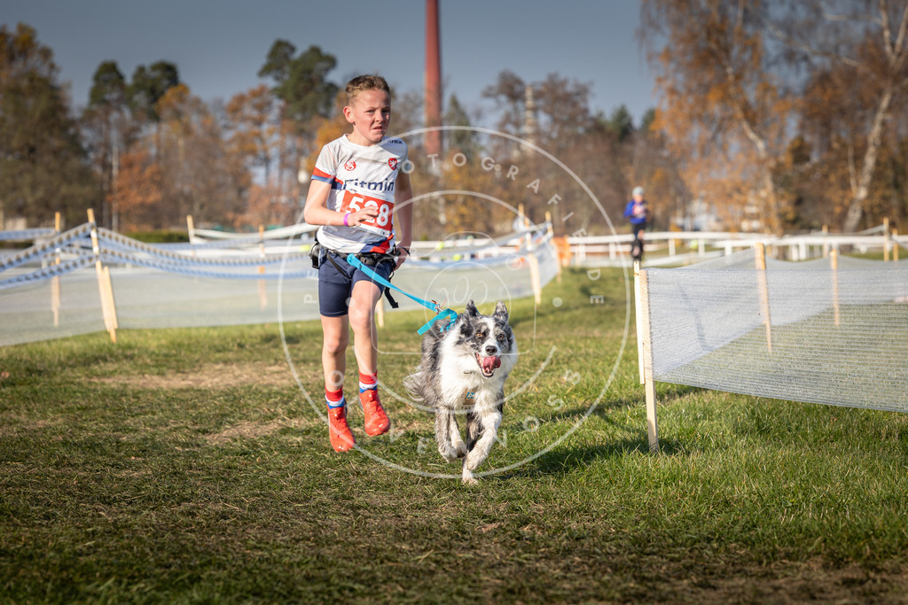 CaniXpix_0L8A8775 | Hundefotografie, Tierfotograf, Pfotenfotografie, Fotoshooting Hund, Hunde Portrait, Hundesport, Hundeportraits, Heideshooting, Hunde, Sportfotograf, Hundefotograf, Turnierhundsport, THS,  - Realisiert mit Pictrs.com