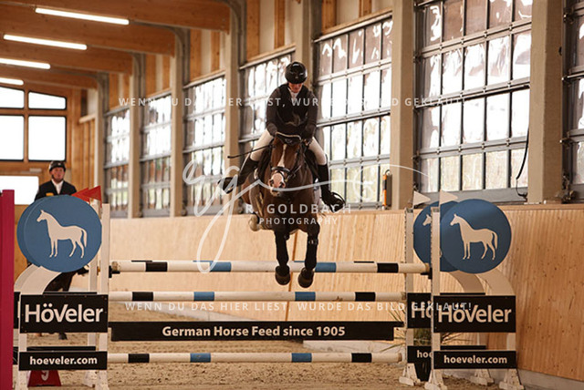 1J2A5291Susan Nörenberg_ Campari 336_ Kn057_ Glantz_ Hohen Wieschendorf | Foto- und Videografie für alles rund ums Pferd. Hochwertige Bilder und Videos vom Spring- und Dressurreiten, Voltigieren & mehr. Jetzt aktuelle Veranstaltungen und Preise im Shop ansehen. - Realisiert mit Pictrs.com