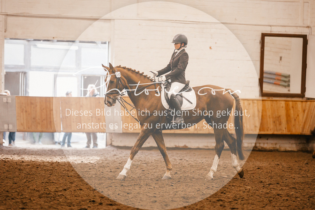 3I6A6116 | Stimmungsvolle Portraits und Reitsportfotografie im Ruhrgebiet und im Münsterland.

Pferdefotografie, Hundefotografie, Tierfotografie, Reportagen, Portraits von Tier und Mensch, Turnierfotografie in Bochum, Recklinghausen, Marl, Haltern am See, Dülmen.. - Realisiert mit Pictrs.com