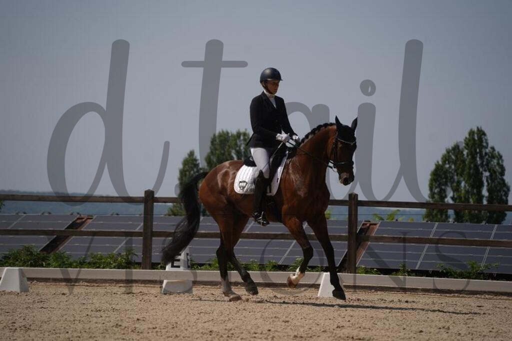 tgbhfreitag (993) | d.tail Visions - Shop - Realisiert mit Pictrs.com