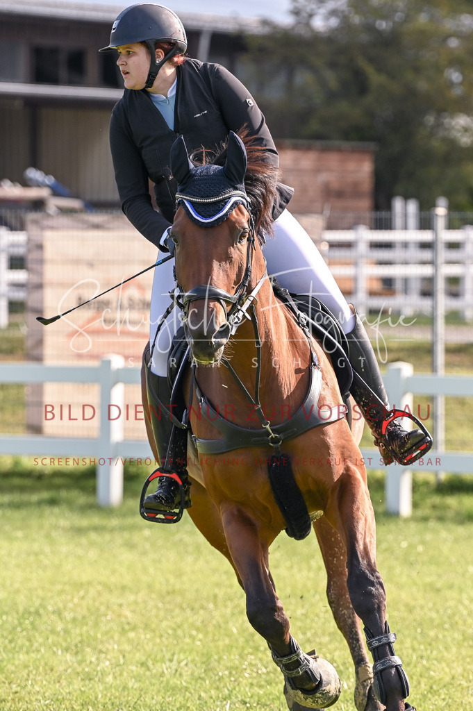 Schugtsche-Düren.2024-07.Amat.Springprf.A__-23 | Schugtsche Fotografie - Realisiert mit Pictrs.com