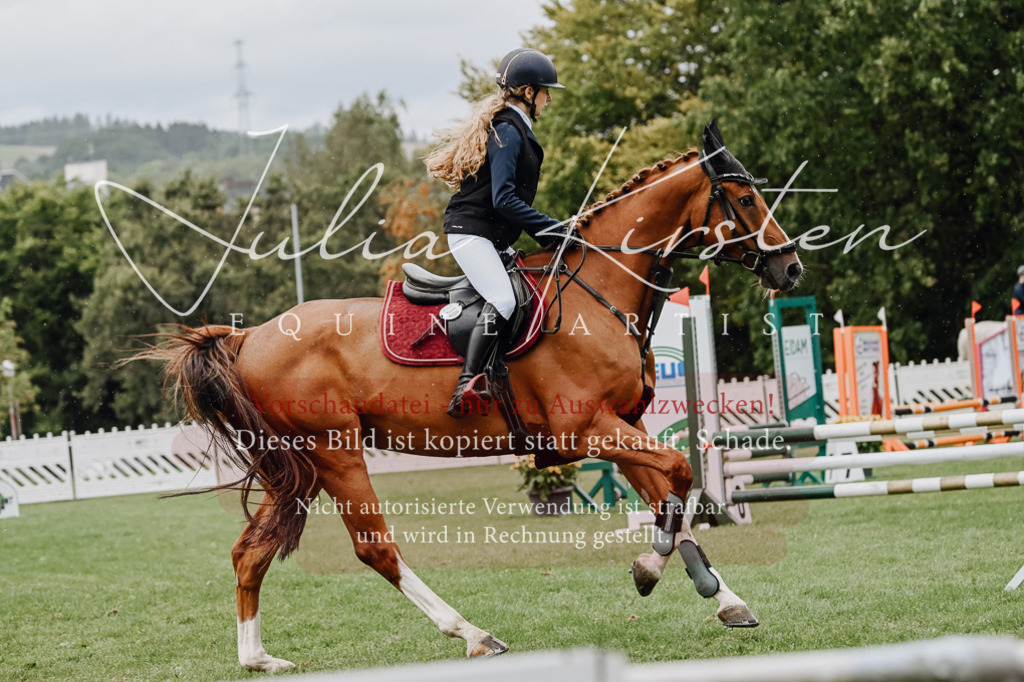 DSC_7065 | Pferde- und Turnierfotografie in Westsachsen. Pferdeportraits, Auftragszeichnungen und intuitive Kunst.
