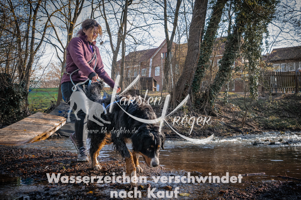 0827_ZZ90808 | kk-dogfotos