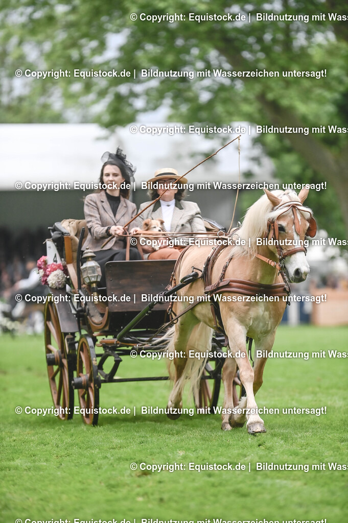 20240517_Lange-Pferdenacht_0150 | Foto: Thomas Hartig