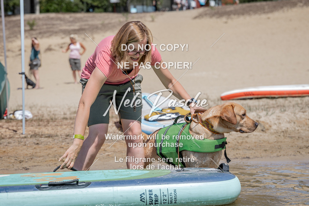 nelerasche_saSUP1_62 | nelerasche