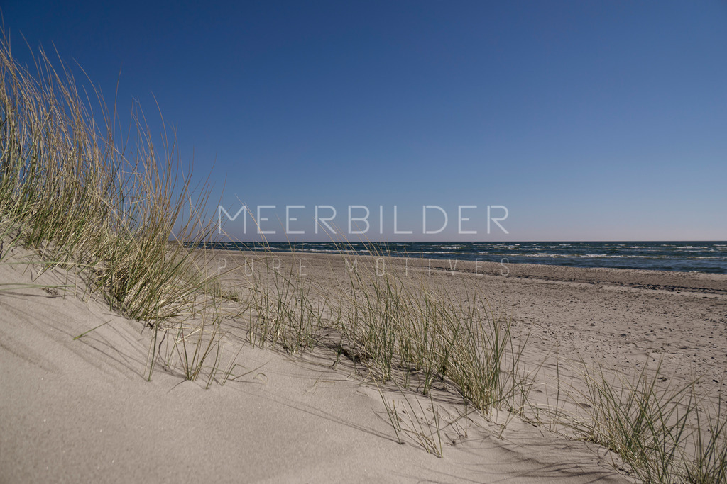 Sanfte Dünen am Ostseestrand // Strandbilder Ostsee | Dieses Ostseebild beinhaltet sanfte Dünen, die an einen weitreichenden Strand grenzen. Ein strahlend blauer Himmel erstrahlt an diesem Morgen in der malerischen Lübecker Bucht.