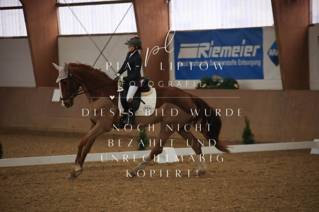 IMGT0698 | pl-fotografie