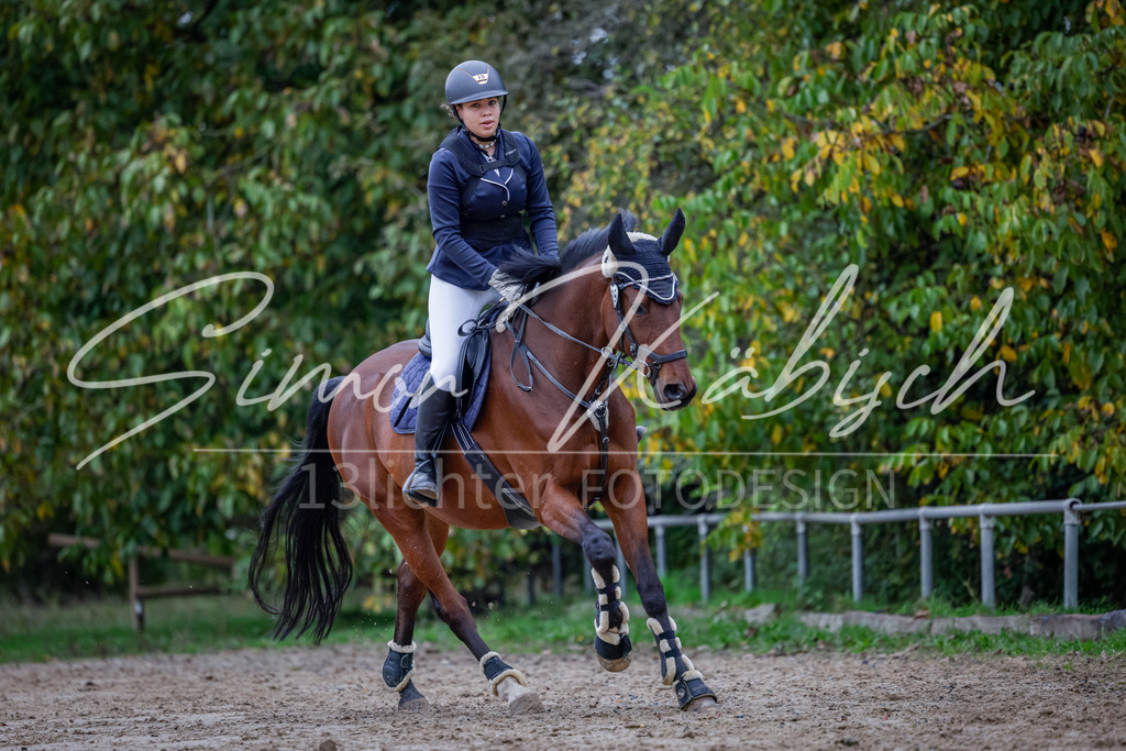 20251012-_3LI2809 | Tierfotografie Pferde, Hunde, Katzen, Haustiere.
Turnierfotografie Reitturniere, Reiten, Springreiten, Dressur in Hanau, dem Main-Kinzig-Kreis und dem Rhein-Main- Gebiet um Frankfurt