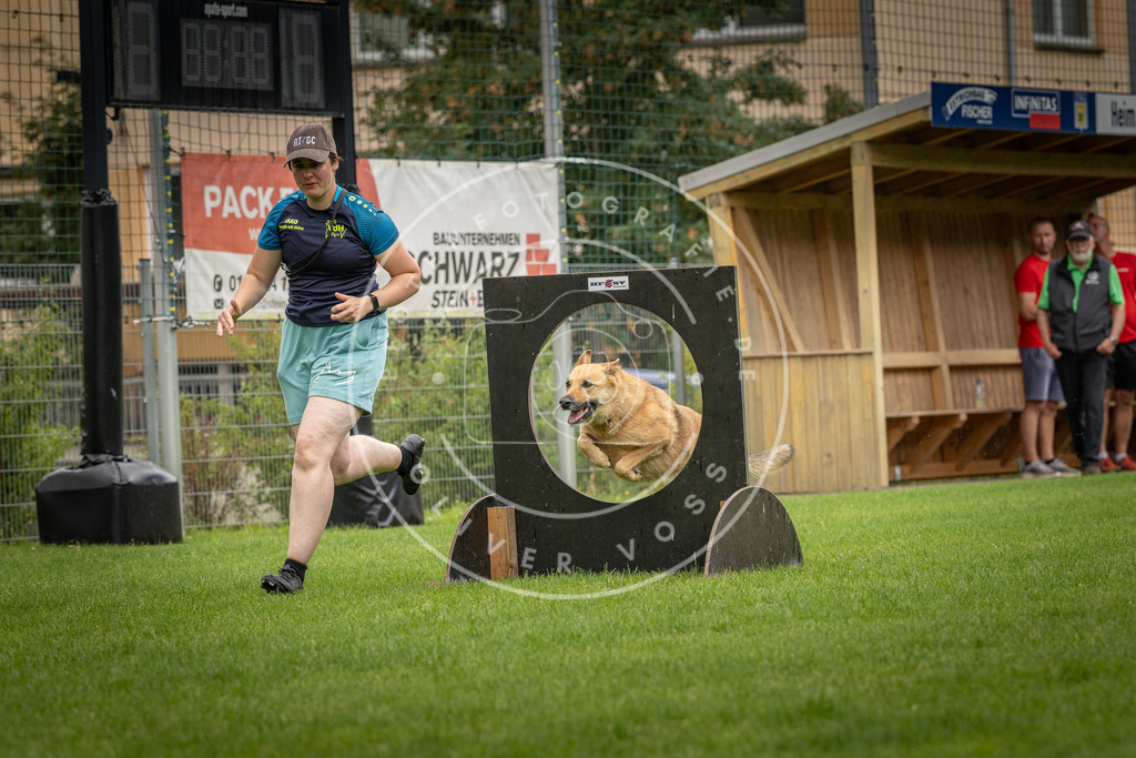 Pfotenfotografie_DV3A5441 | Hundefotografie, Tierfotograf, Pfotenfotografie, Fotoshooting Hund, Hunde Portrait, Hundesport, Hundeportraits, Heideshooting, Hunde, Sportfotograf, Hundefotograf, Turnierhundsport, THS,  - Realisiert mit Pictrs.com