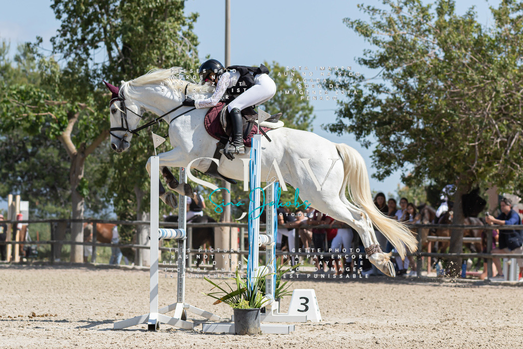 IMG_0719 | s-jay-photography - Realisiert mit Pictrs.com