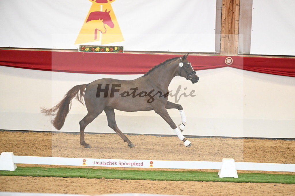 Kat.-Nr. 58 v. Floricello_Heilemann_2250339 | hf-fotografie - Realisiert mit Pictrs.com