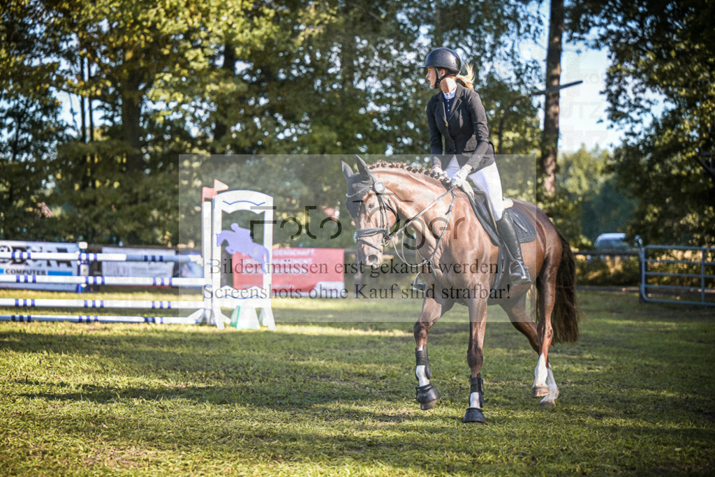 DOS_0952 | Entdecke hochwertige Reitturnierfotos von Foto Oger. Professionell, emotional und authentisch – jetzt Lieblingsmomente im Shop bestellen.Deutschlandweite Turnierfotografie. - Realisiert mit Pictrs.com