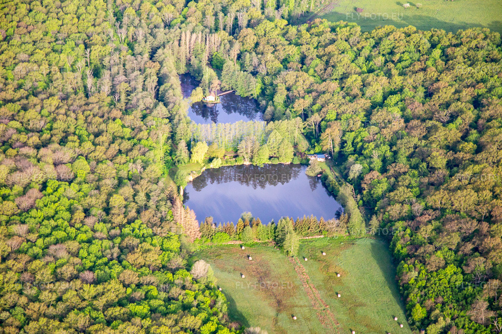 Vue aérienne: Comme dans la forêt à Vibersviller dans le département Moselle, France. Photo: IMG_140589.jpg prise le 01/05/2024 par Werner Riehm/FLY-FOTO.eu – Résolution de l'original: 5472 x 3648 px