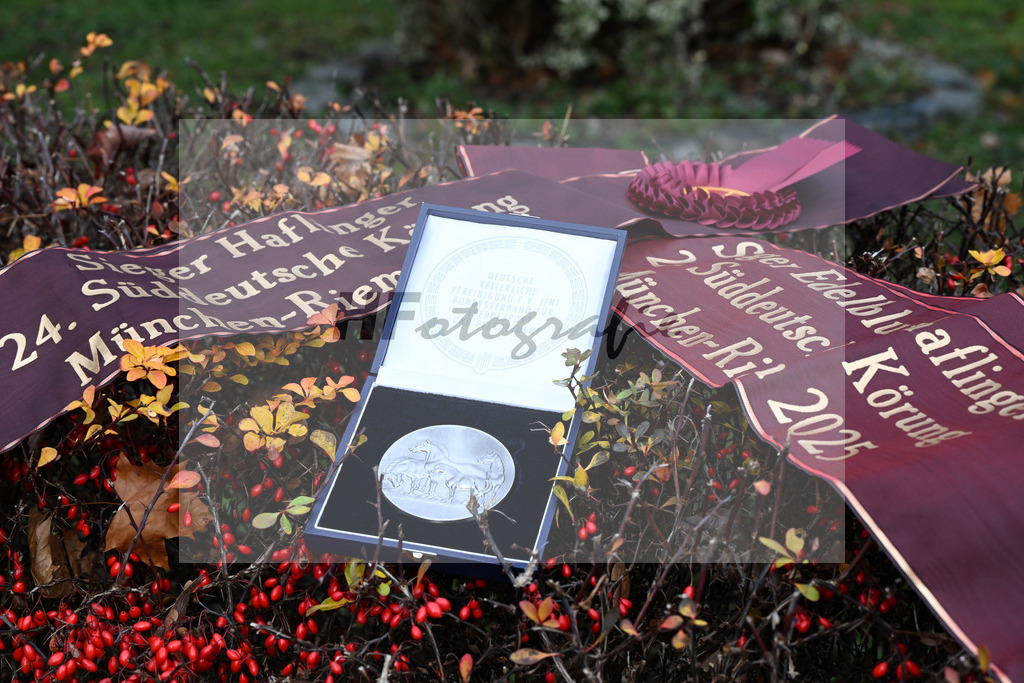 Impressionen Koerung_48250946 | hf-fotografie - Realisiert mit Pictrs.com