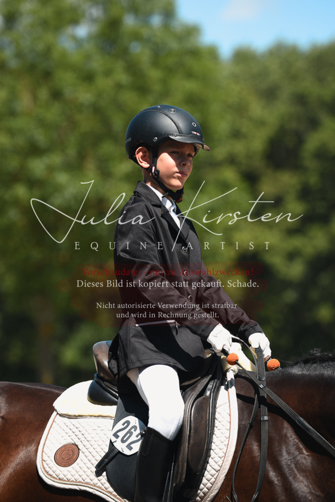 DSC_1769 | Pferde- und Turnierfotografie in Westsachsen. Pferdeportraits, Auftragszeichnungen und intuitive Kunst.