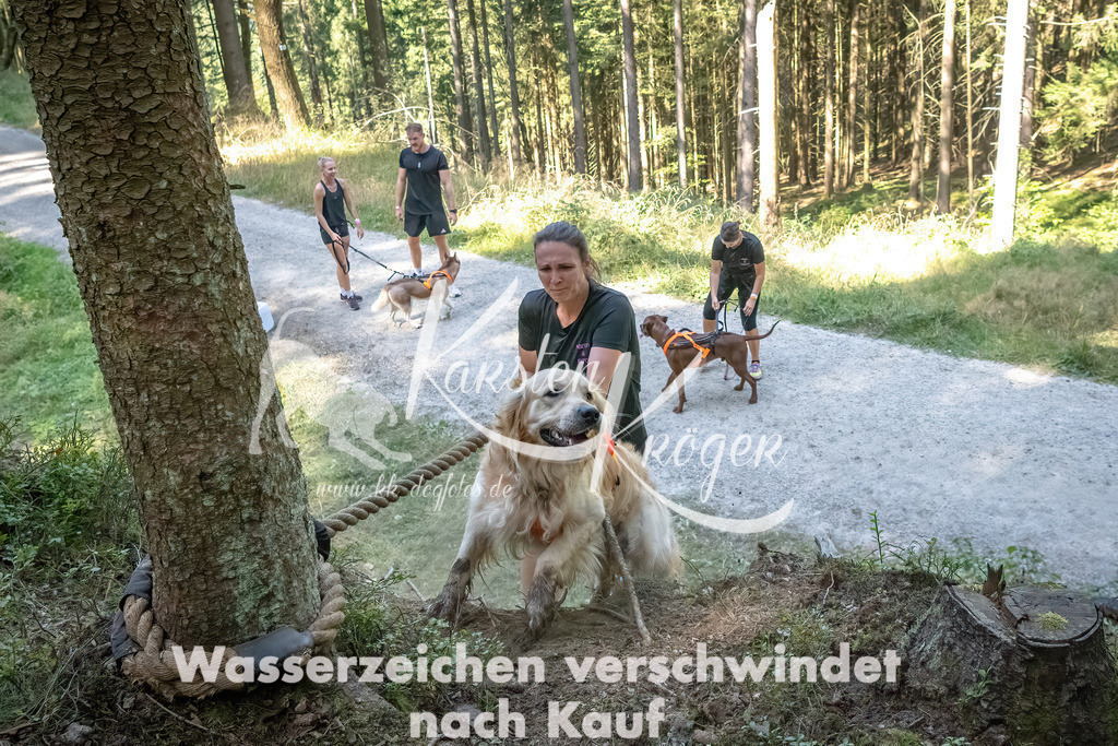 1155_ZZ92582 | kk-dogfotos