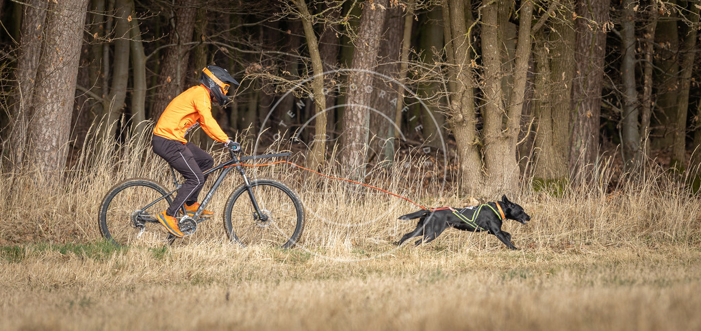 DV3A4895 | Hundefotografie, Tierfotograf, Pfotenfotografie, Fotoshooting Hund, Hunde Portrait, Hundesport, Hundeportraits, Heideshooting, Hunde, Sportfotograf, Hundefotograf, Turnierhundsport, THS,  - Realisiert mit Pictrs.com