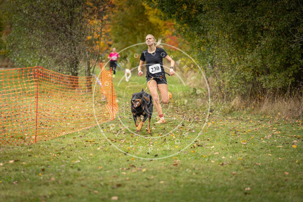 Pfotenfotografie_DV3A4557 | Hundefotografie, Tierfotograf, Pfotenfotografie, Fotoshooting Hund, Hunde Portrait, Hundesport, Hundeportraits, Heideshooting, Hunde, Sportfotograf, Hundefotograf, Turnierhundsport, THS,  - Realisiert mit Pictrs.com
