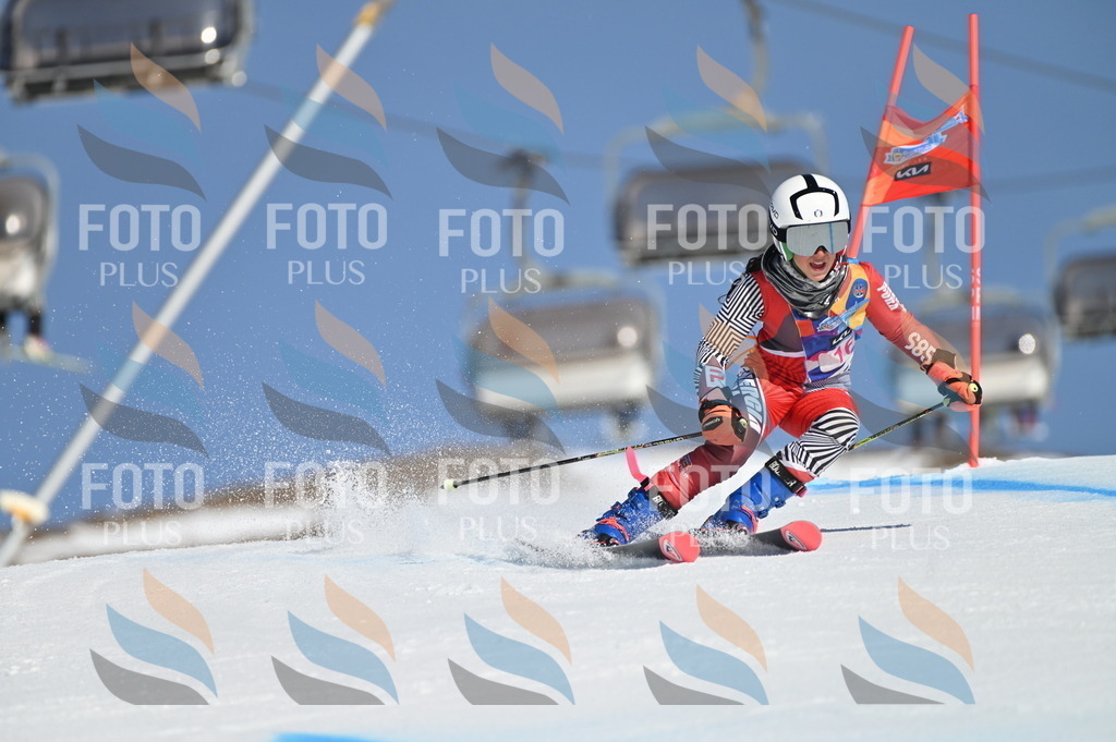 BGV_7868 | holidayphoto