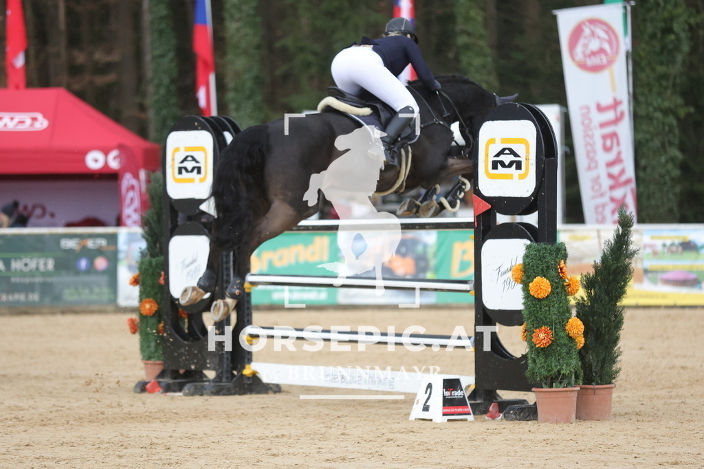 0P6A5113 | Willkommen bei Brunnmayr - Design & Fotografie – Ihrem Spezialisten für Reitturniere und Pferdeveranstaltungen in Oberösterreich, Salzburg und Bayern! Seit über 17 Jahren sind wir leidenschaftlich dabei.