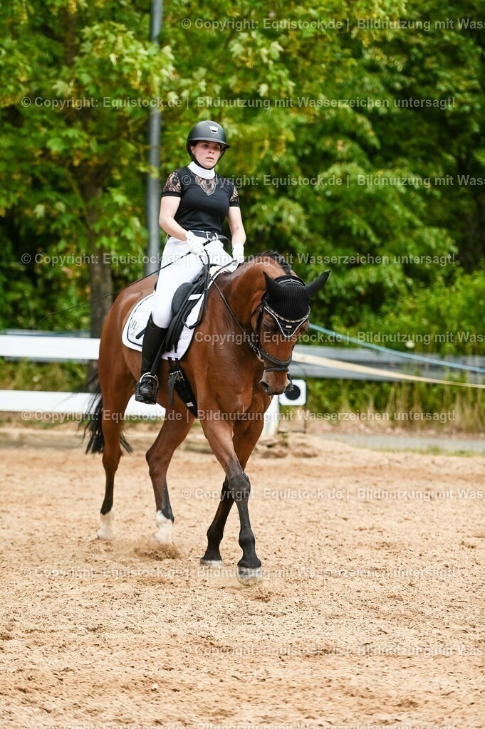 20230715_05_Dressurprüfung Kl.A++_0308 | equistock