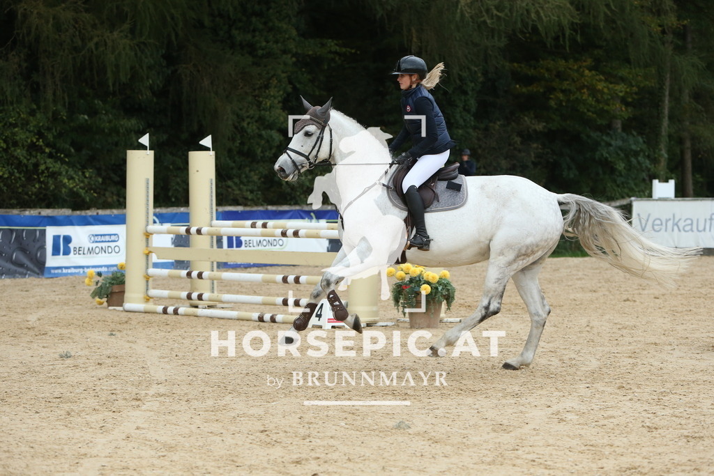 DL2Q7725 | Willkommen bei Brunnmayr - Design & Fotografie – Ihrem Spezialisten für Reitturniere und Pferdeveranstaltungen in Oberösterreich, Salzburg und Bayern! Seit über 17 Jahren sind wir leidenschaftlich dabei.