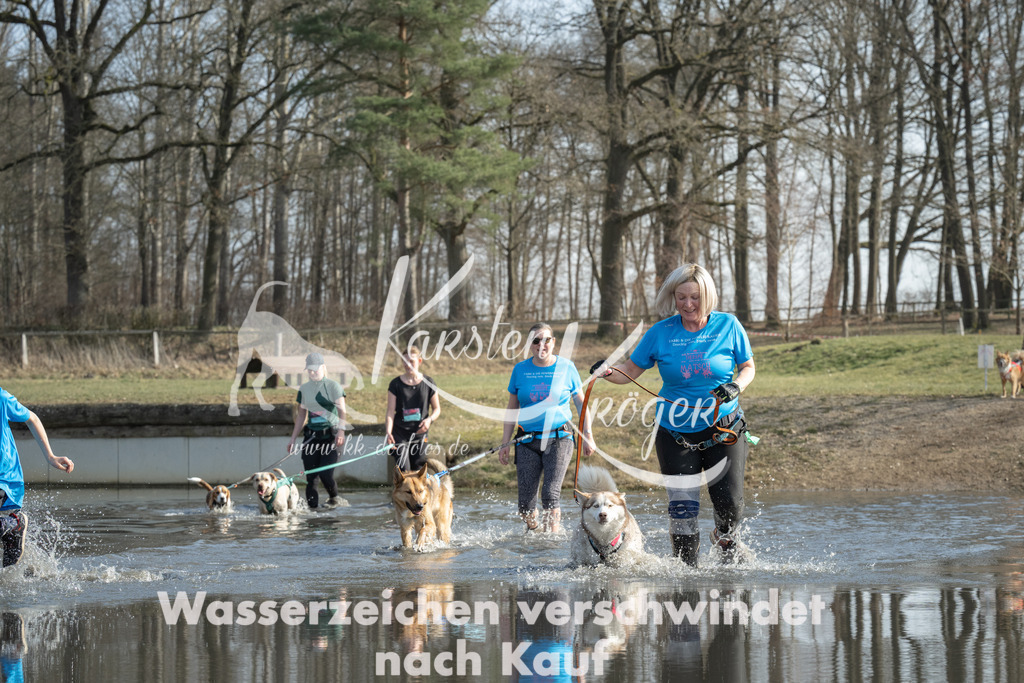 1341_ZZ97736 | kk-dogfotos