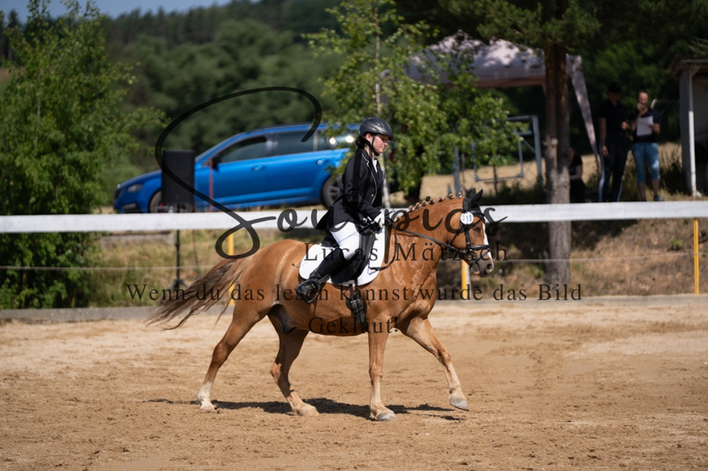 A7V07925 | Pferdefotograf