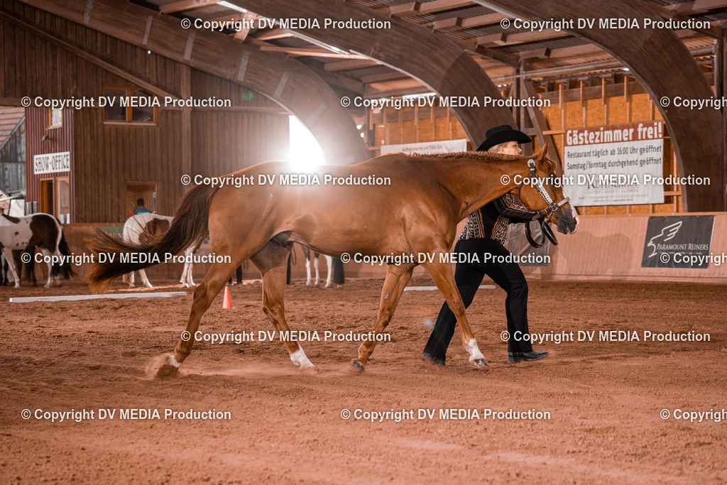 NE200020 | dv-media-shop - Realisiert mit Pictrs.com