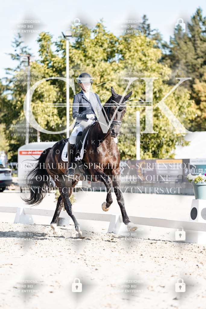 CK907891 | Turnierfotografie Pferdefotografie Trier Rheinland-Pfalz Pferdesport Reitsport Tierfotografie Sportfotografie Pferdevideo Pferdevideografie Equestrianvideography equestrianphotography  - Realisiert mit Pictrs.com
